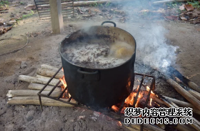 杏耀平台 植物迷幻剂有