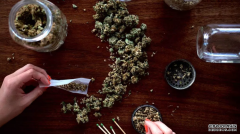 <b>杏耀平台,更强的大麻会导致大麻使用障碍的激增</b>