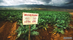 <b>杏耀平台,杀虫剂会增加患心脏病的风险</b>