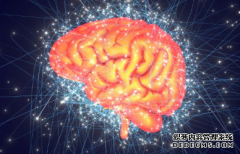 <b>杏耀注册,创造力的神经科学:安娜·亚伯拉罕的问</b>