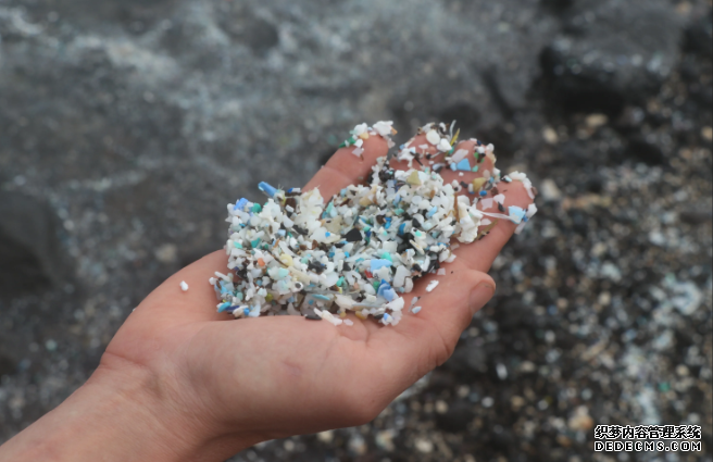 杏耀 不值得一游的海洋: