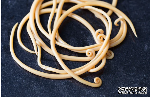 杏耀注册 我们需要谈