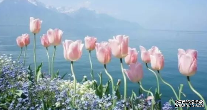 杏耀平台 无常与正常