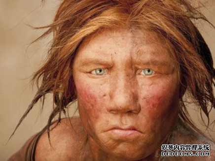 杏耀注册 神经科学:尼安德