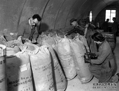 杏耀 自闭症和滴滴涕