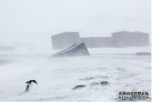 杏耀注册 过去北极的变暖
