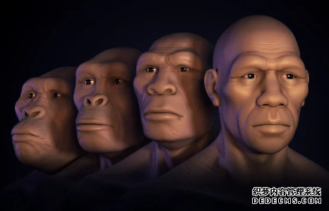 杏耀平台 美国有多少神创论者?