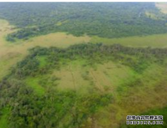 <b>杏耀平台,玛雅人把湿地变成了农田</b>