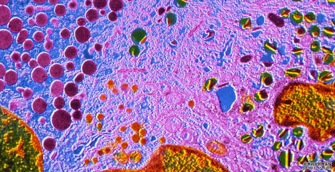 杏耀注册 罕见的公开同