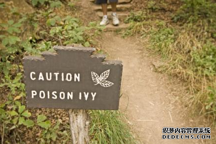 杏耀平台 如何治疗毒葛