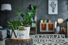 杏耀平台 让植物看起来最好