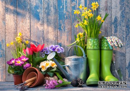 杏耀平台 便宜的园艺点子