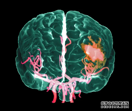 杏耀平台 越来越多的千禧