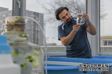 杏耀 与在德国找到新家的伊朗