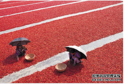 杏耀注册 解决食品标准