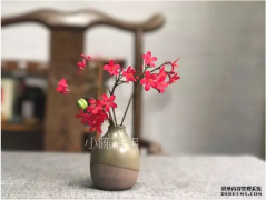 <b>杏耀,白牡丹叶片嫩，所以变老后叶片黑？请别误</b>