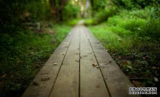 杏耀平台 发展中国家需要的不