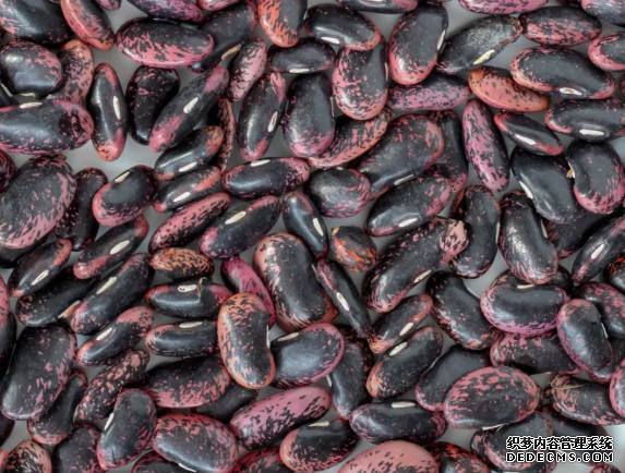 杏耀平台 如果你没有速食锅