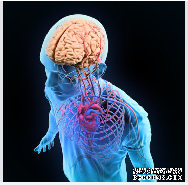 杏耀代理 科学家在体外再造血脑