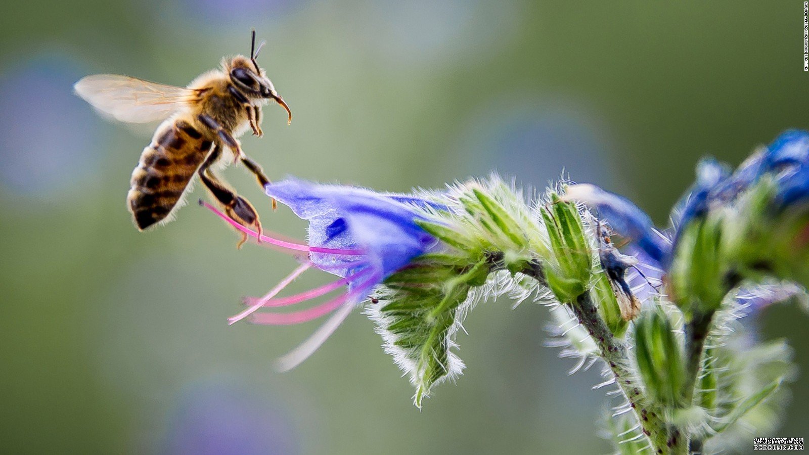 杏耀登录 调查显示