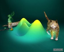 <b>物理学家们用薛定谔的猫组成了一支飞行大军杏</b>