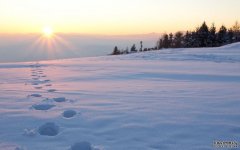 <b>为什么印度军队在推特上谈论雪人?</b>