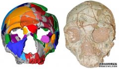 <b>《古老的头骨》显示，现代人早期试图移民出非</b>