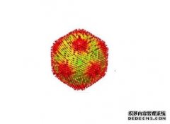 <b>新发现的巨型“美杜莎”病毒将阿米巴原虫变成</b>