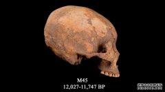 <b>12000年前，一个杏耀代理男孩的头骨被压成锥形。</b>
