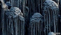 <b>杏耀代理西伯利亚的天空下着黑雪，有毒</b>