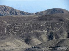 <b>秘鲁沙漠中发现的具有2000年历史的虎鲸地理符号</b>