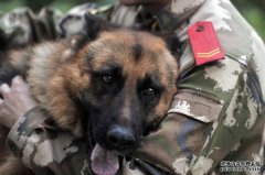 <b>中国研究人员克隆了“警犬夏洛克·福尔摩斯”，</b>