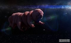<b>为什么艰难微小的缓步动物可能是第一批星际旅</b>