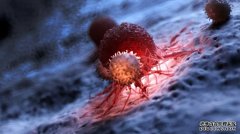 <b>注射死细胞能帮助抗癌吗?</b>
