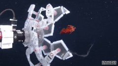 <b>这个机器人只是想拥抱一只水母，而不是谋杀水</b>