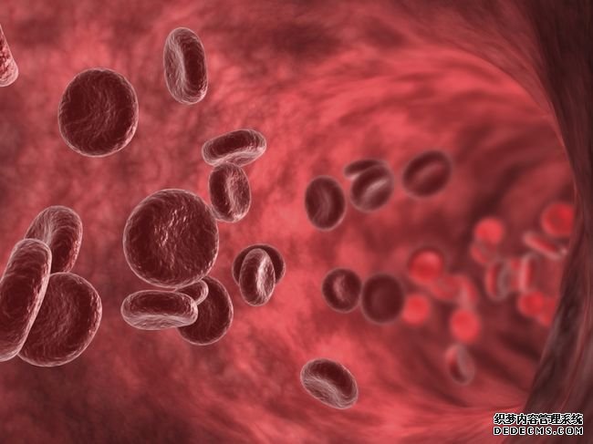 杏耀平台登录官网 循环系统:一个让我