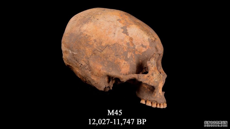 杏耀玩家注册 12000年前,一个男孩的头骨被压成锥形。这是这种头部塑造最古老的证据。
