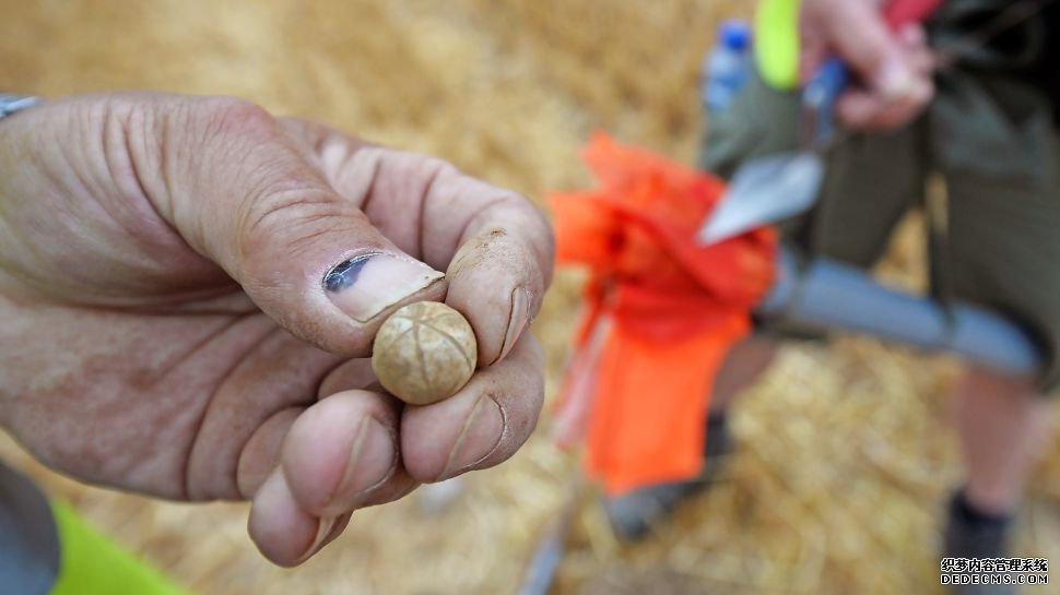 杏耀代理注册 拿破仑战败200年后,在滑铁卢出土的断肢和火枪子弹