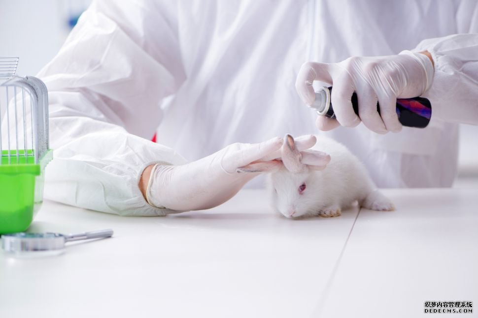 杏耀代理注册 动物试验的替代方法是什么?