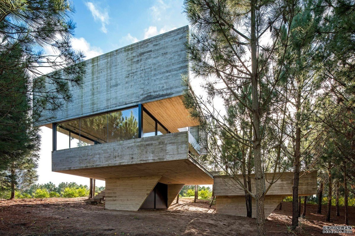 杏耀平台卢西亚诺·克鲁克(Luciano Kruk)的《林中小屋》(House in the Trees)是一件最小的混凝土工艺品