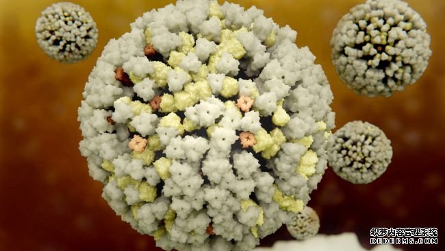 杏耀客户端科学家们可能正在研制一种通用流感疫苗