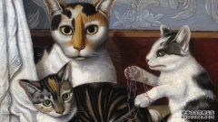 <b>杏耀测速为什么这么多猫的爪子上有白色的“袜</b>