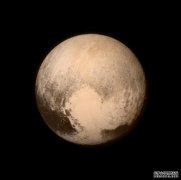 <b>杏耀流水再见，布鲁托，谢谢你所做的一切</b>