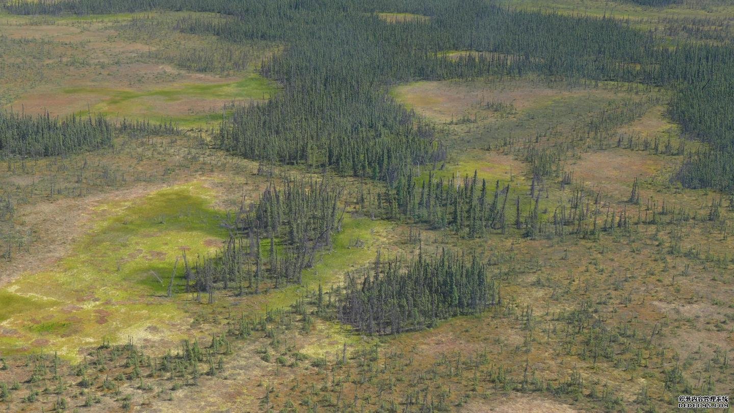 杏耀登录地址北部泥炭地的失水可能会加剧火灾和全球变暖