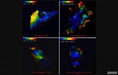 <b>杏耀下载FEFU的天体物理学家们在大的尘埃颗粒中</b>