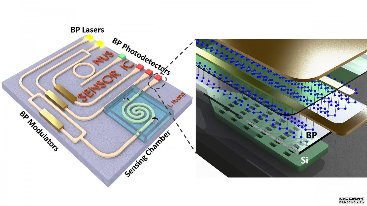 黑磷在3D分析、杏耀注册分子指纹识别中的应用前景