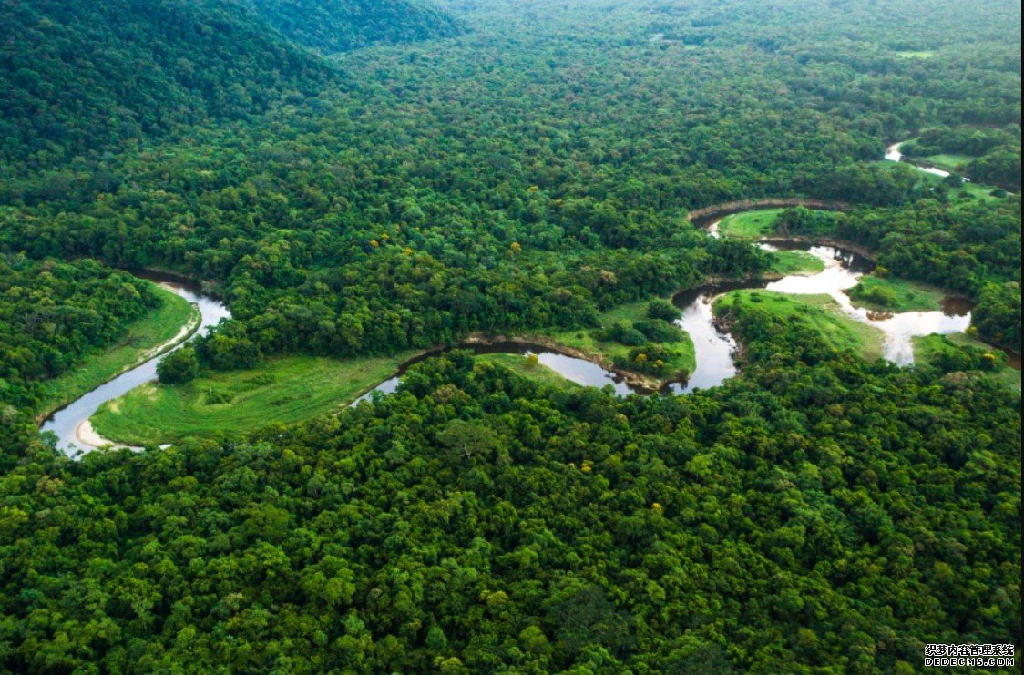 研究概要:关杏耀平台于地球生物圈对空气质量影响的新见解