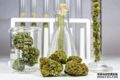 <b>杏耀代理开号大麻缺乏数据，但机器学习可以帮</b>