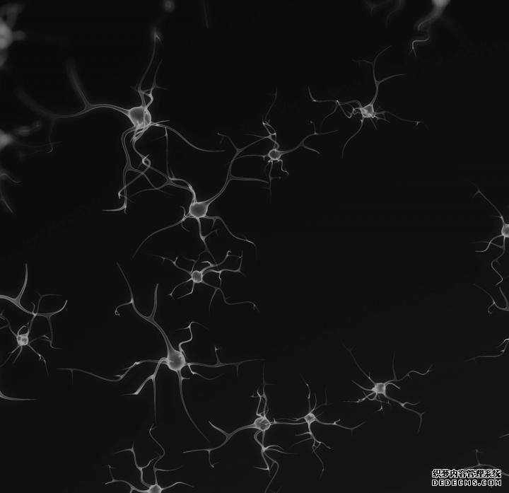 新的深度学习模型杏耀招代理:更少的神经元，更多的智能