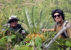 <b>关岛大学是了解苏铁传粉杏耀客户端者的国际努</b>